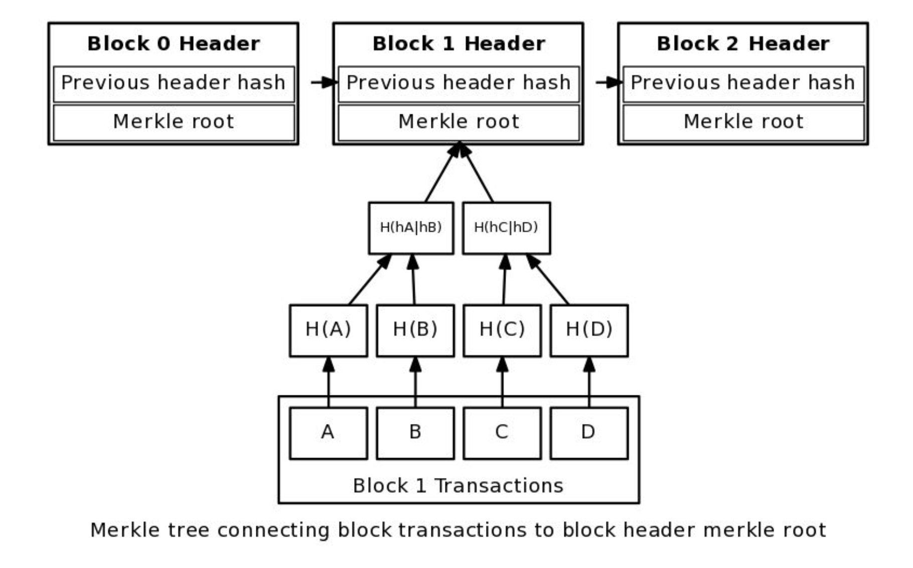 Image of a merkle tree structure